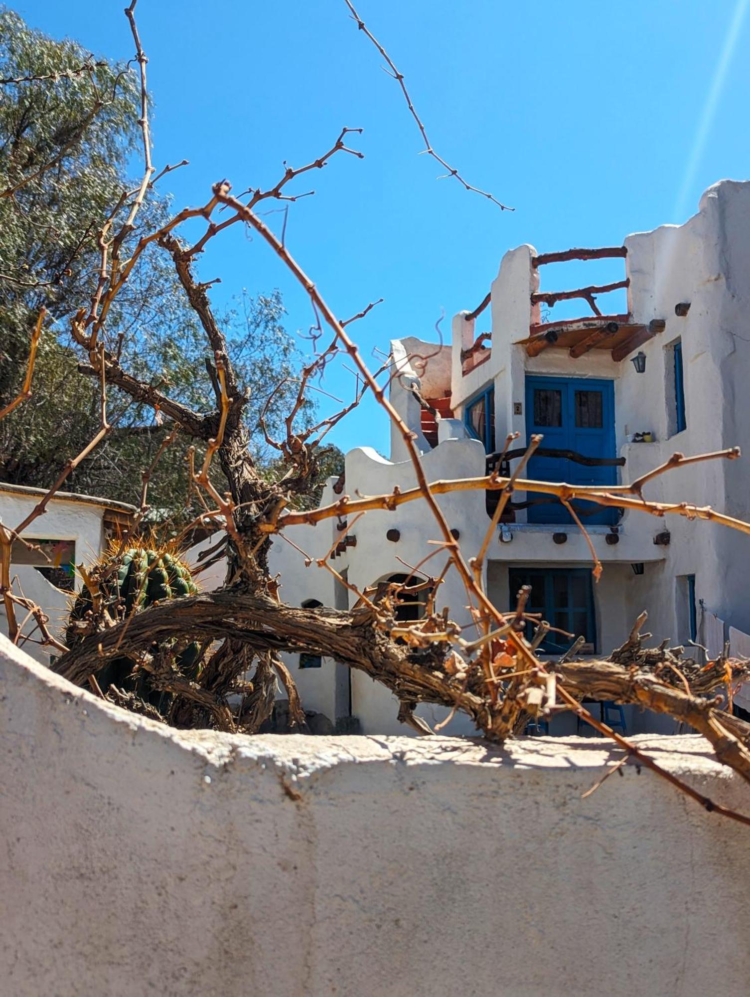 לינה וארוחת בוקר Cachí Casapueblo מראה חיצוני תמונה