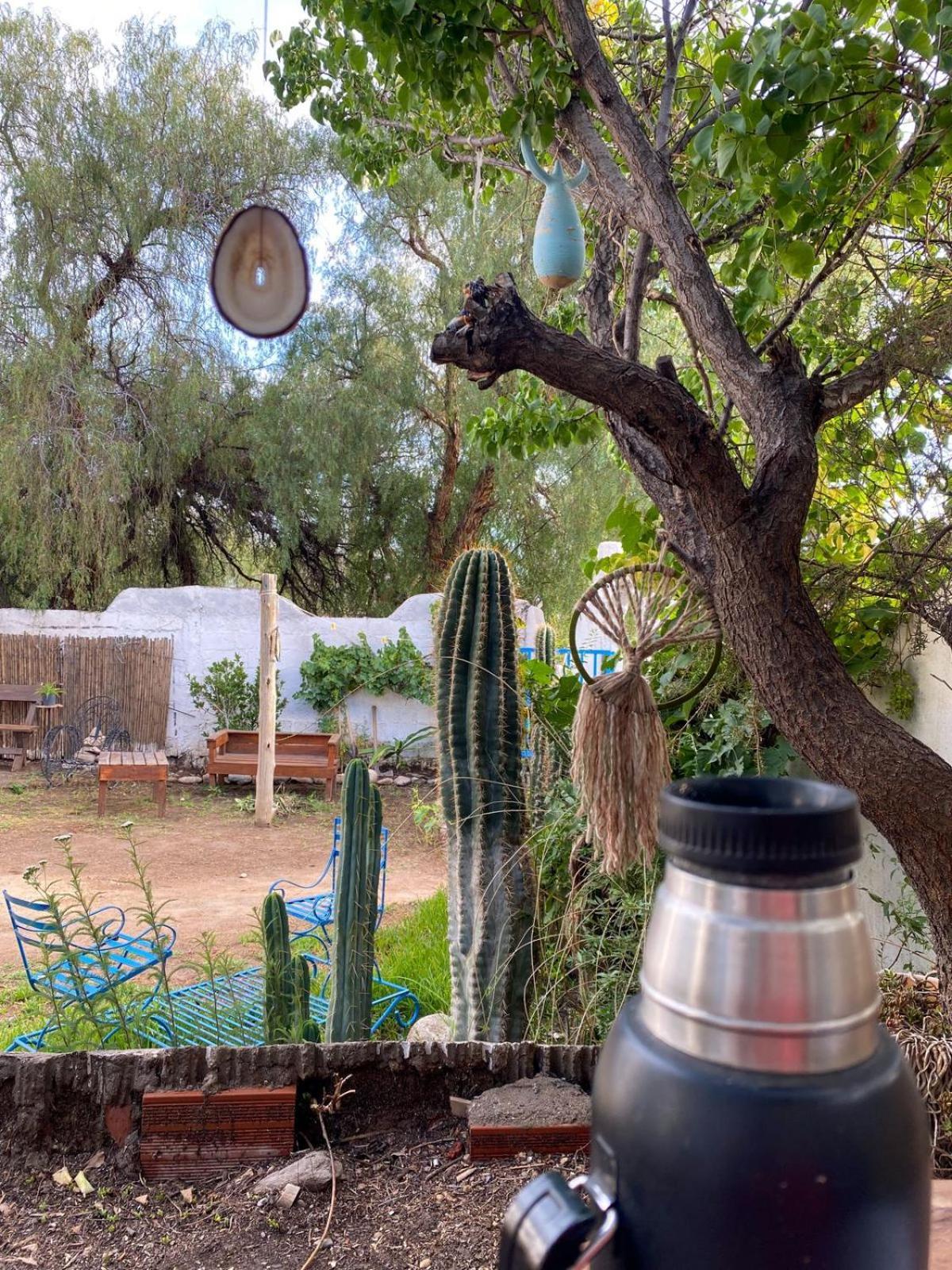 לינה וארוחת בוקר Cachí Casapueblo מראה חיצוני תמונה